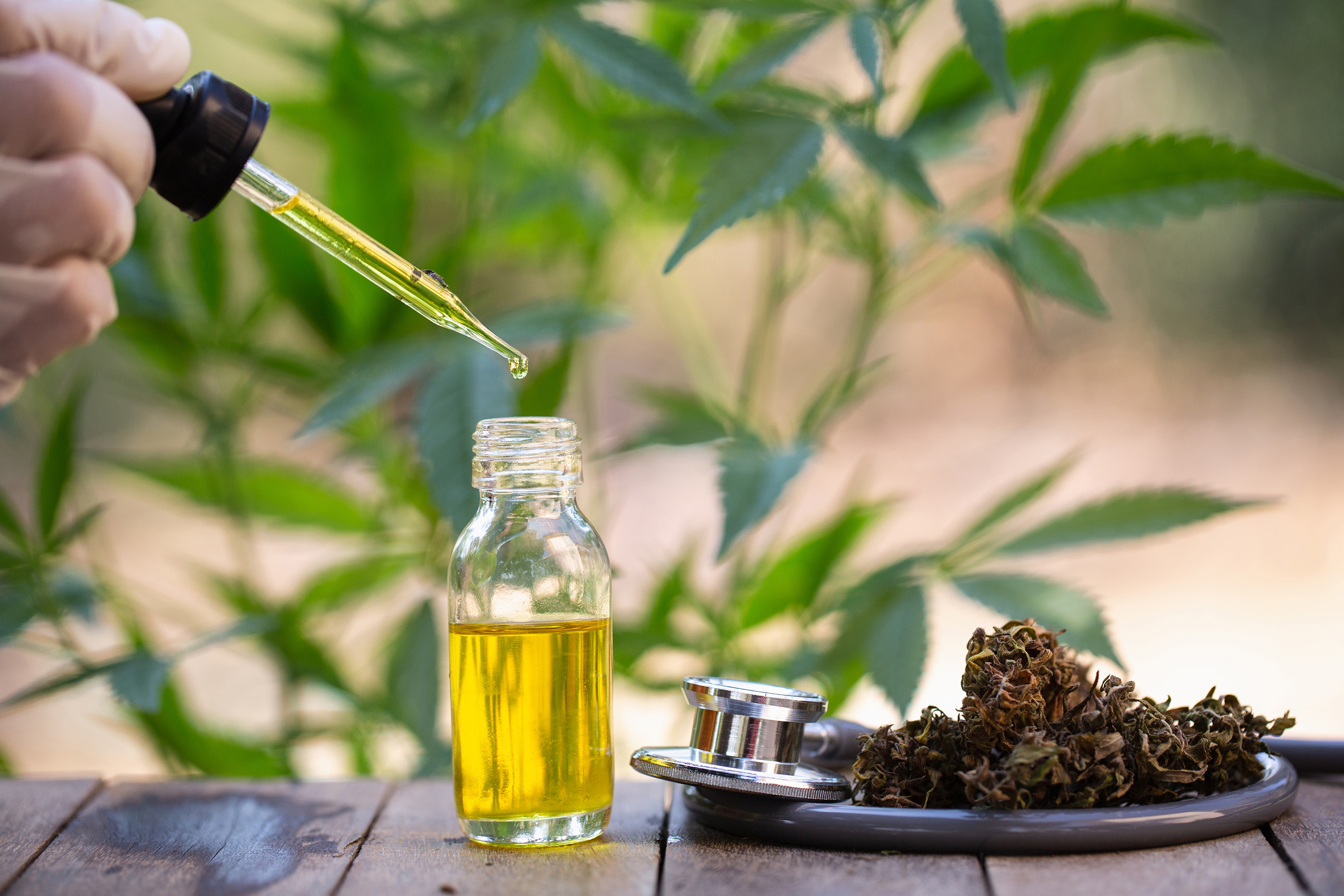 The Smartest Details For The Utility Of CBD Oil