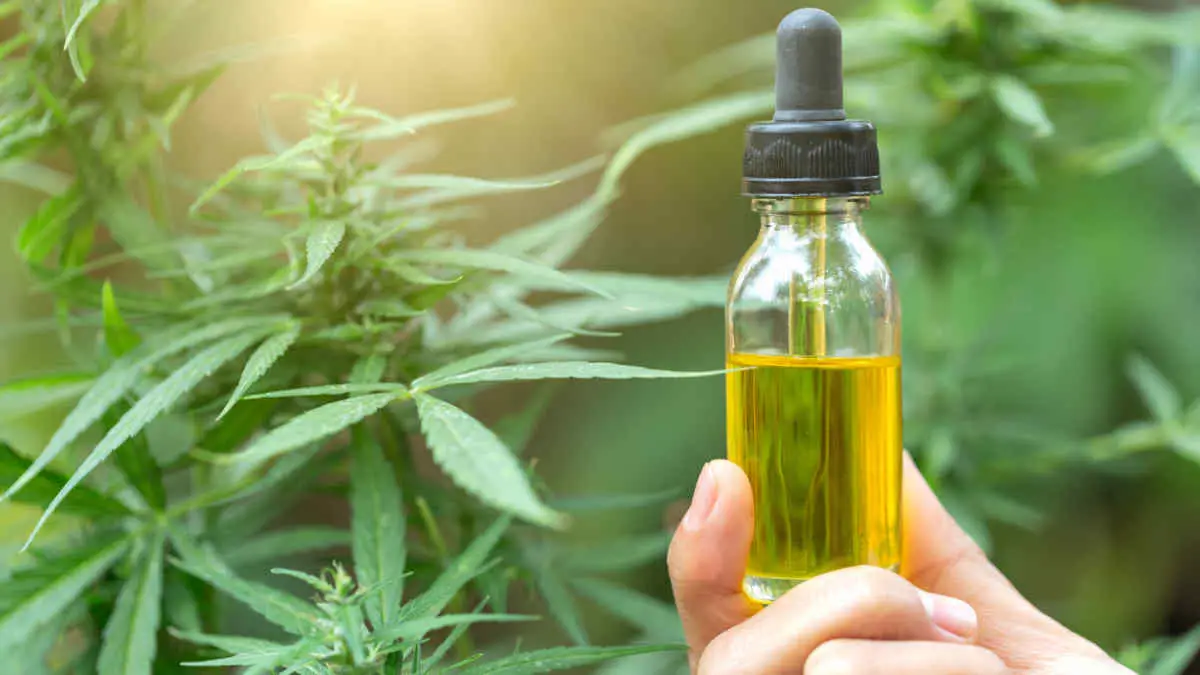 CBD Oil Has to Help So Many People In Our Society