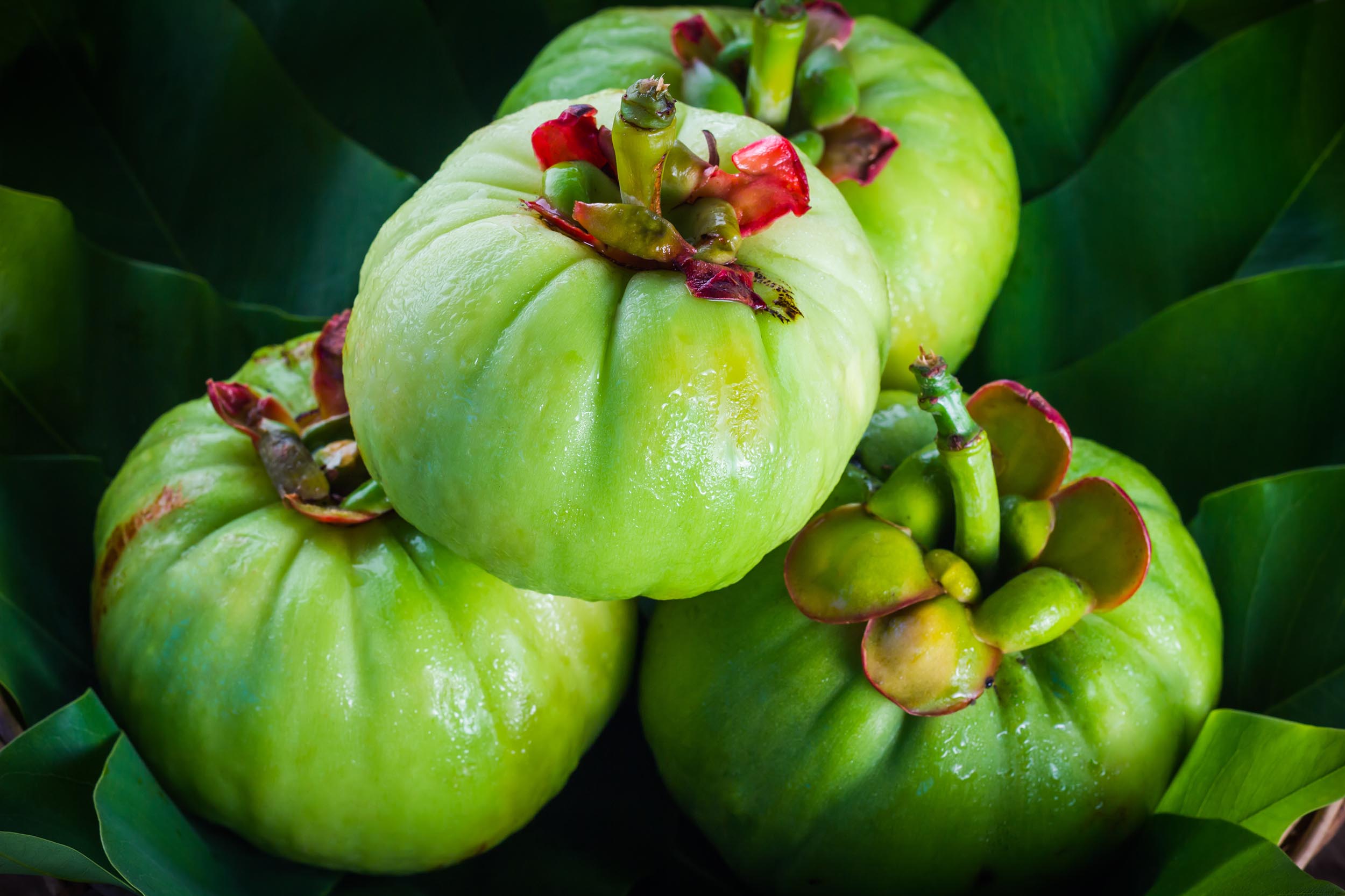 Does Garcinia Cambogia Extract Work for Weight Loss?