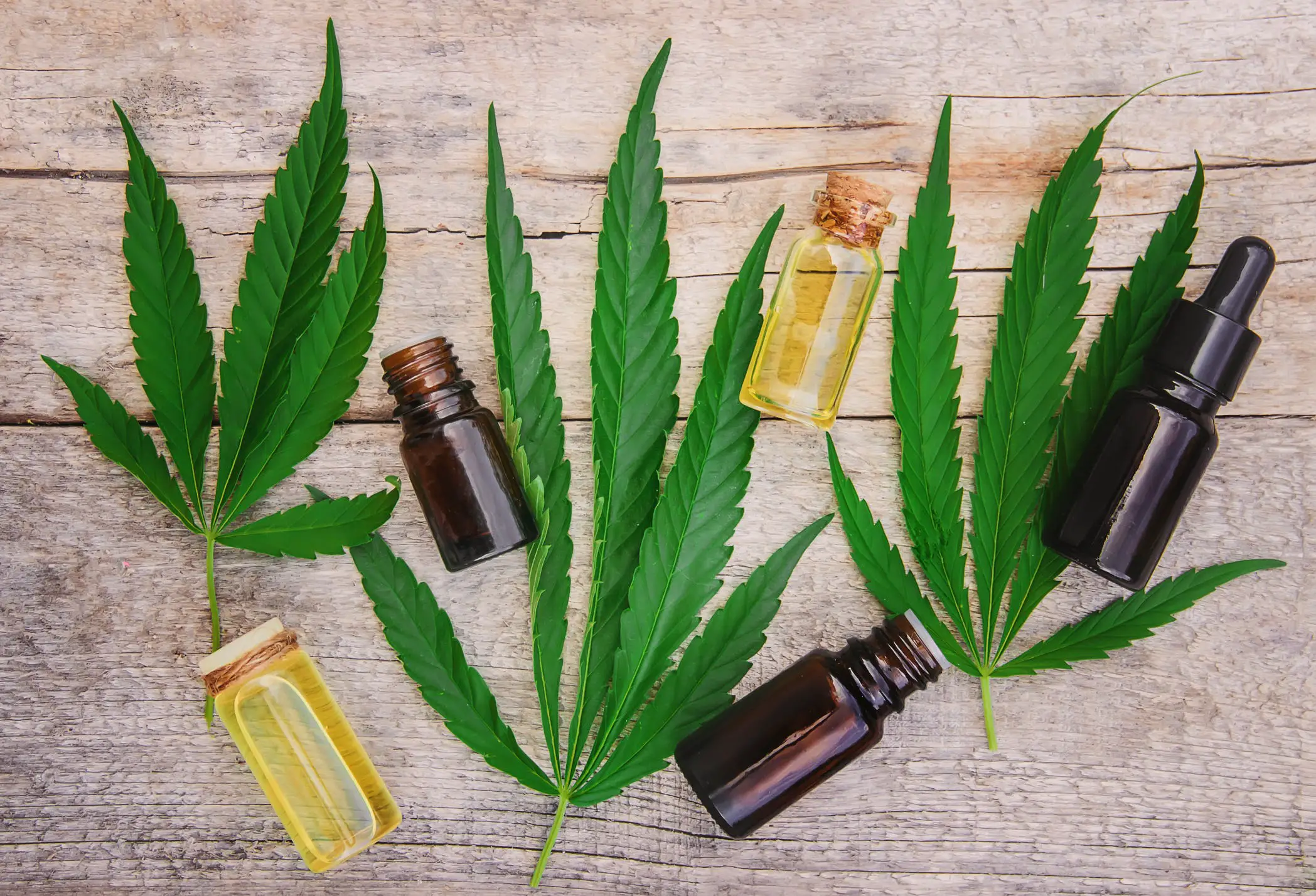 How You Can Have The Benefits From The CBD Suppositories