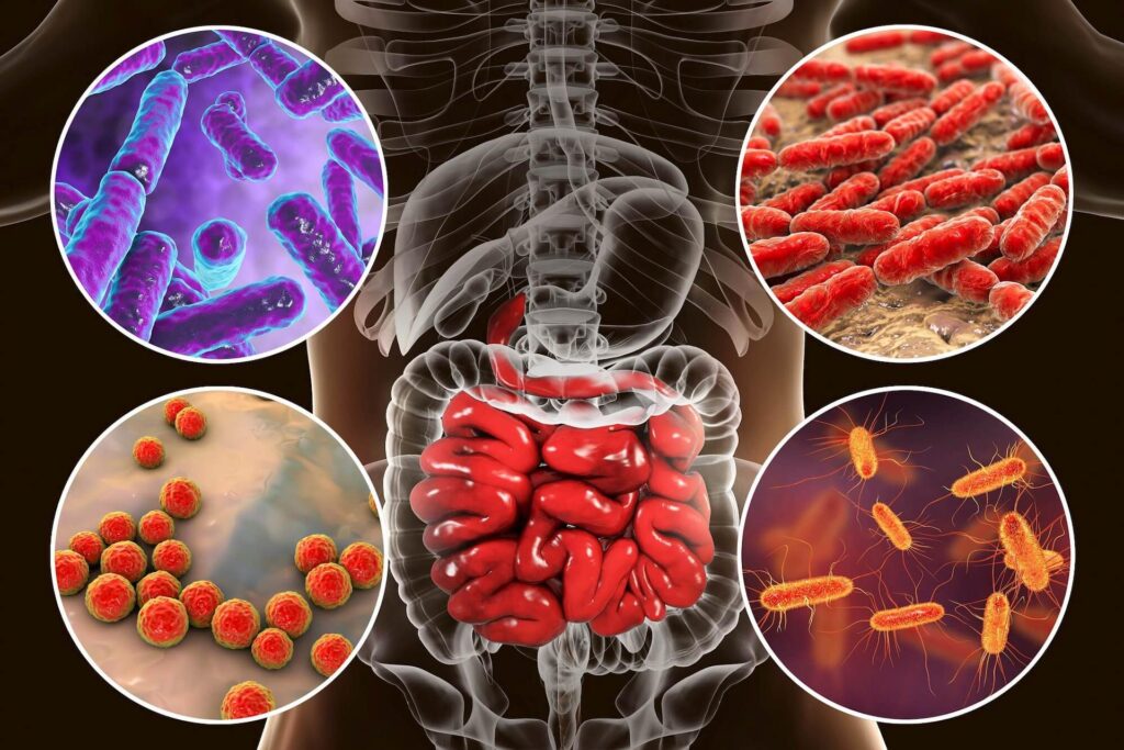 Gut Microbiome